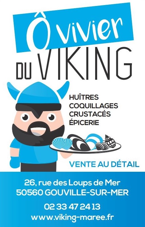 Vivier du Viking